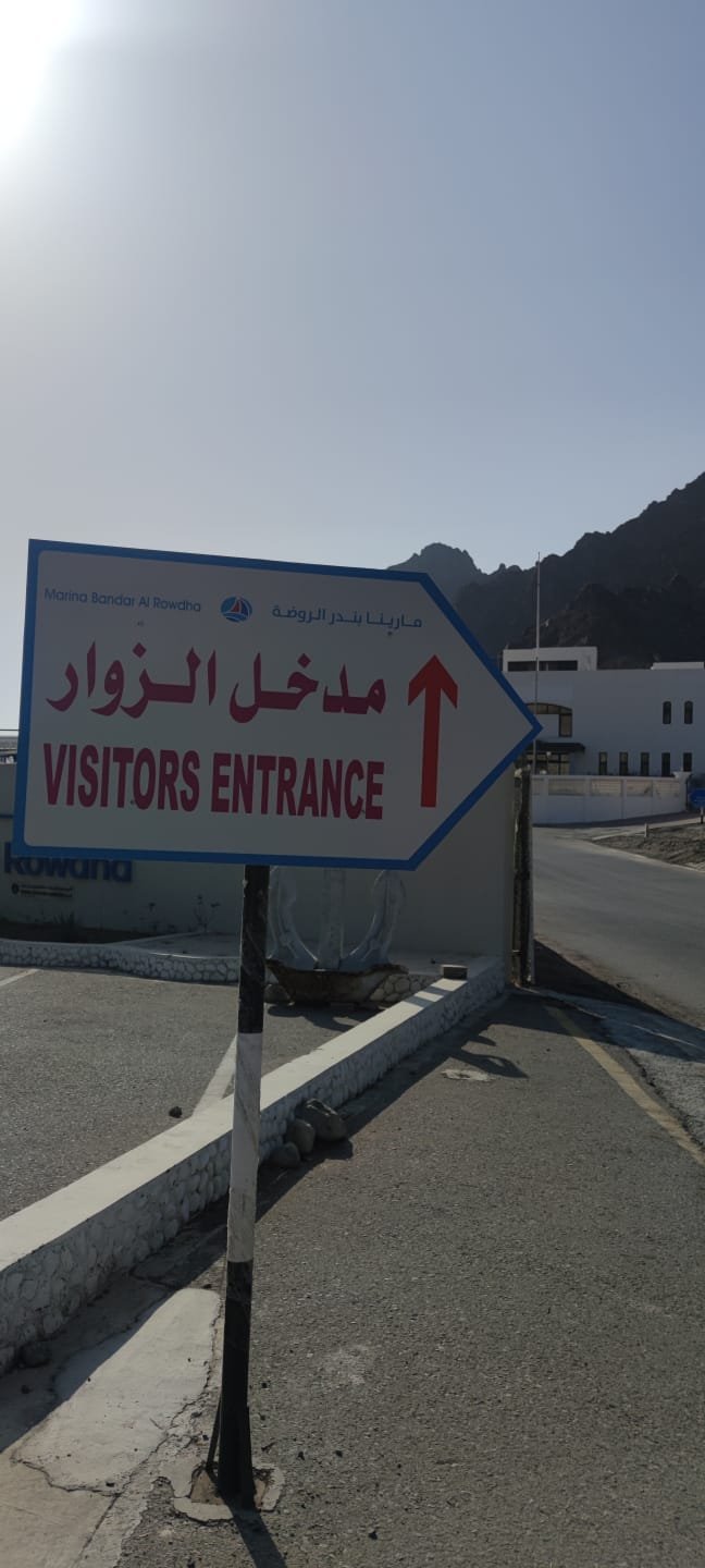 Dolphin watching and coastal cruising